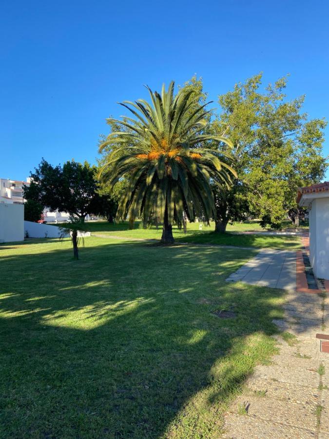 New Algarvegas Paradise Apartment Albufeira Exteriör bild