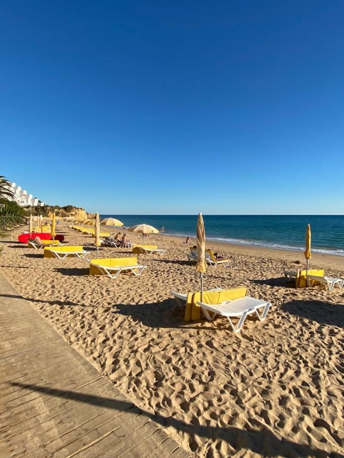 New Algarvegas Paradise Apartment Albufeira Exteriör bild