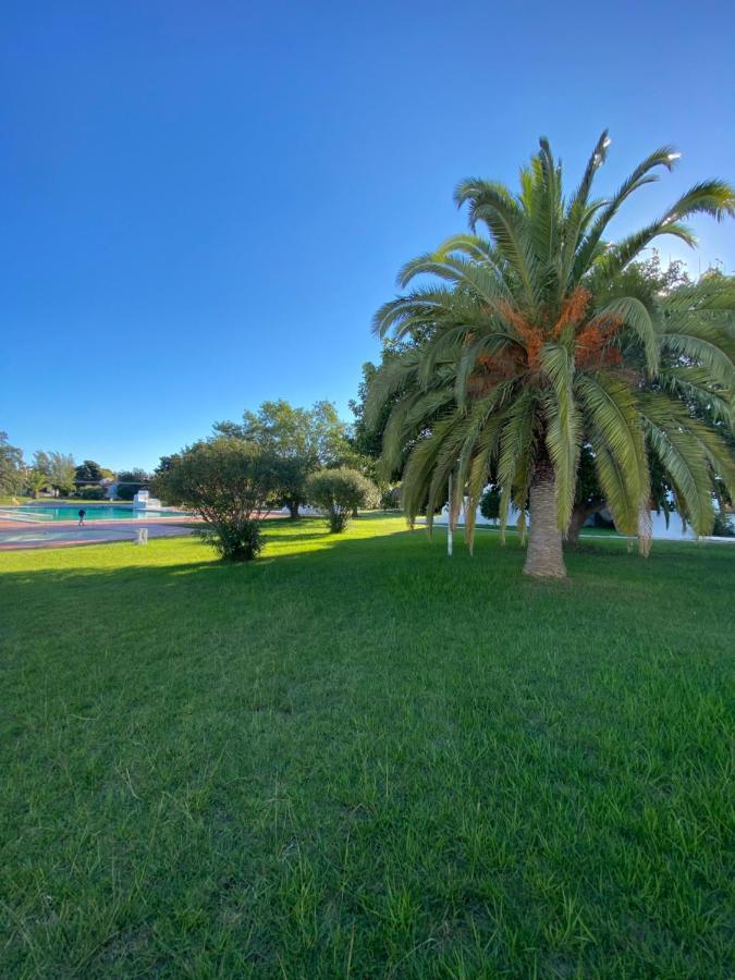New Algarvegas Paradise Apartment Albufeira Exteriör bild