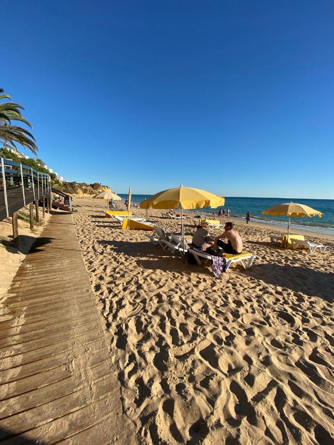 New Algarvegas Paradise Apartment Albufeira Exteriör bild