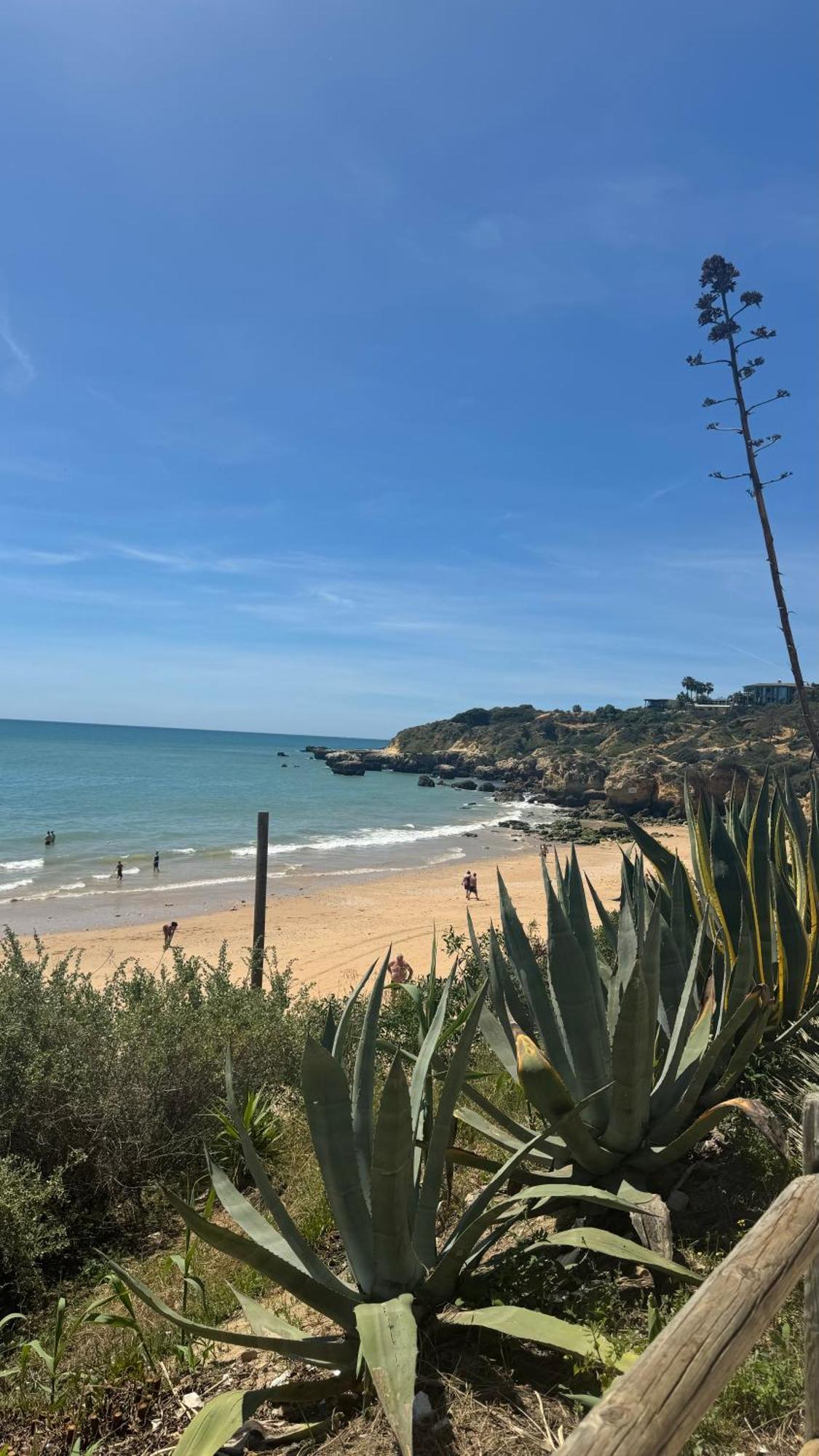 New Algarvegas Paradise Apartment Albufeira Exteriör bild